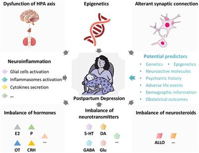 Inflammatory pathophysiological mechanisms implicated in postpartum depression